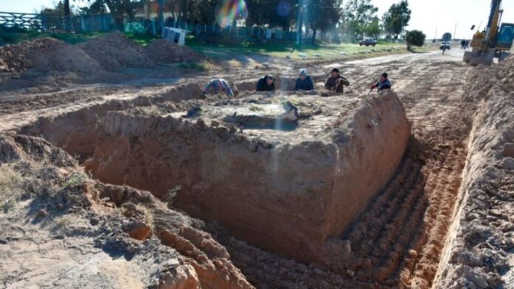 Tras cinco años de trabajo y no pocas complicaciones, se completó en Coronel Pringles la extracción de los huesos fosilizados de un perezoso gigante. - La Nueva -