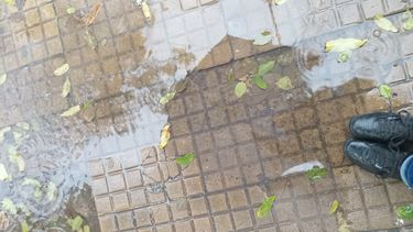 Diarios Bonaerenses | lluvia 2