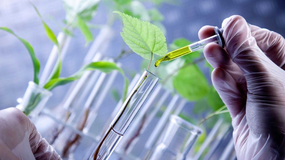 Buscan dsarrollar el sector biotecnológico en la Provincia. Buscan dsarrollar el sector biotecnológico en la Provincia.