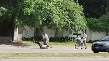 Ataque de comerciante en La Plata. - Captura de pantalla -