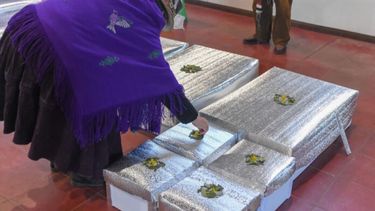 Preparativos en el Museo Udaondo para la restitución de restos humanos del pueblo Huarpe. (Instituto Cultural de la Provincia de Buenos Aires)