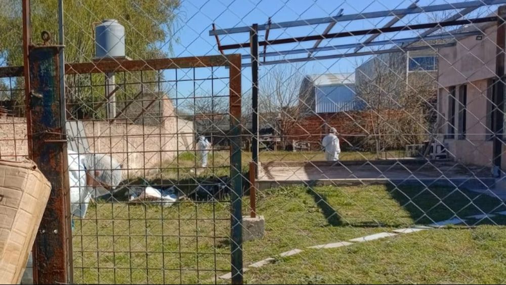 La Policía Científica trabaja en el lugar donde fue hallado el cuerpo de Claudia Scarzzolo. (Redes)