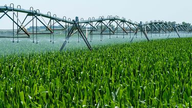 Novedades sobre los agroquímicos.&nbsp;