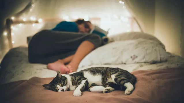 ¿Dormir con tu mascota sí o no? Qué dicen los expertos en higiene del sueño