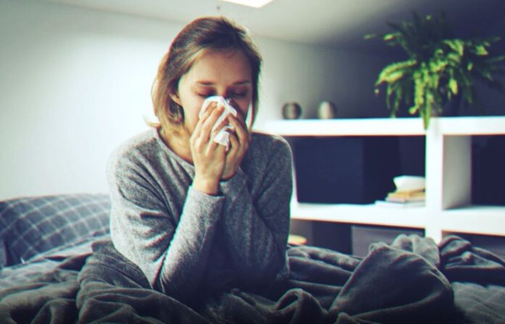 La gripe produce síntomas respiratorios y fiebre y requiere reposo. La gripe produce síntomas respiratorios y fiebre y requiere reposo.