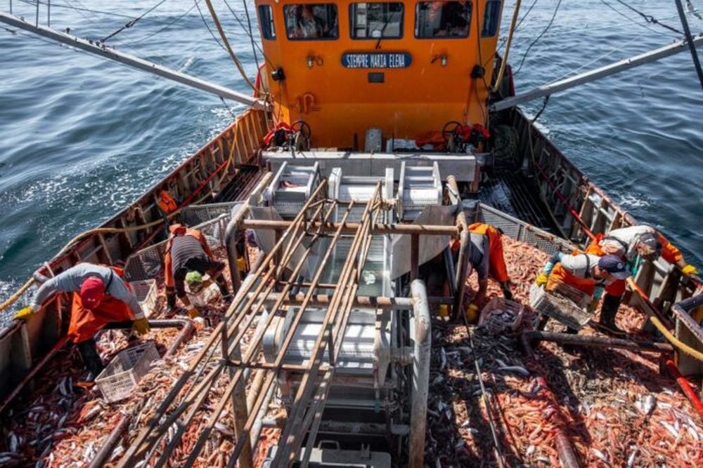 Los buques congeladores vuelven al mar para la pesca de langostinos. (La Capital – Archivo)