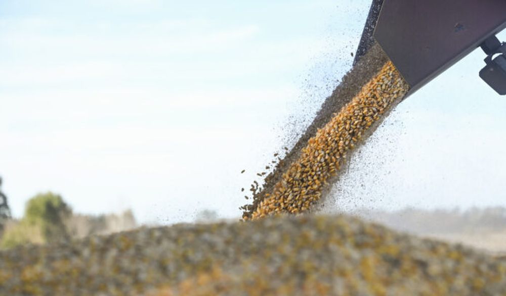 Novedades para el sector agropecuario.