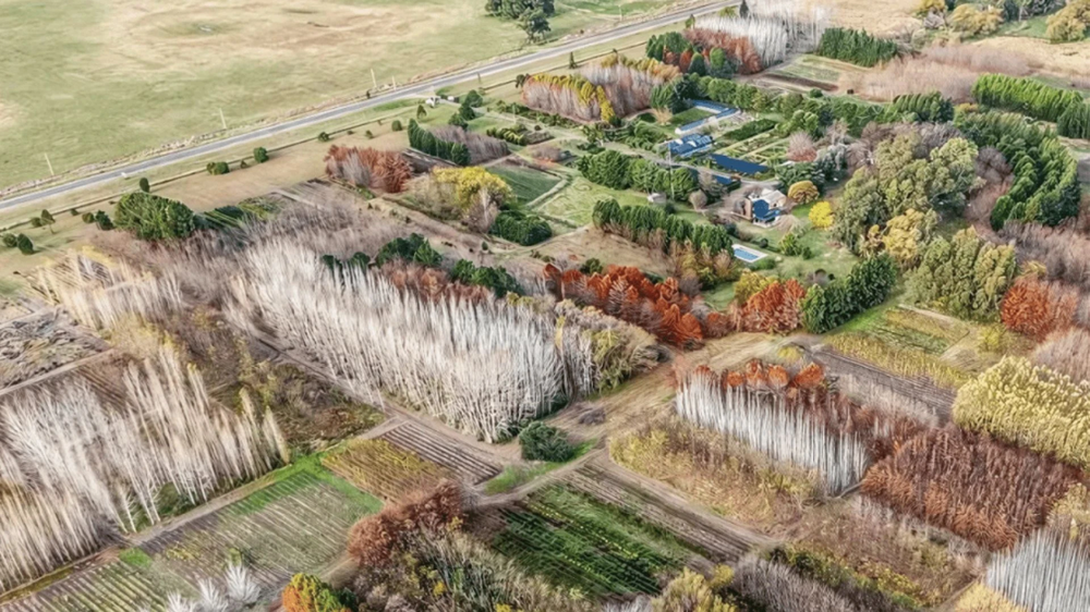 Desde el aire, Cazón es un oasis verde en la pampa húmeda.