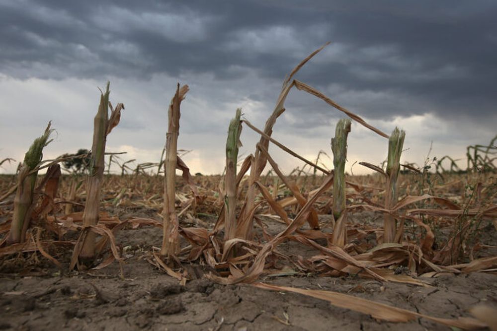 La sequía y el impacto en el campo.