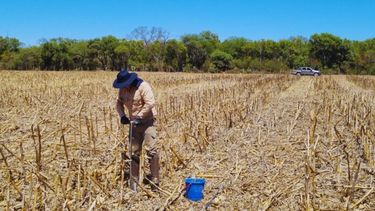 Una persona trabajando en el suelo de un campo.