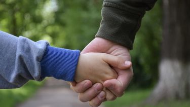 La adopción en la mira.&nbsp;