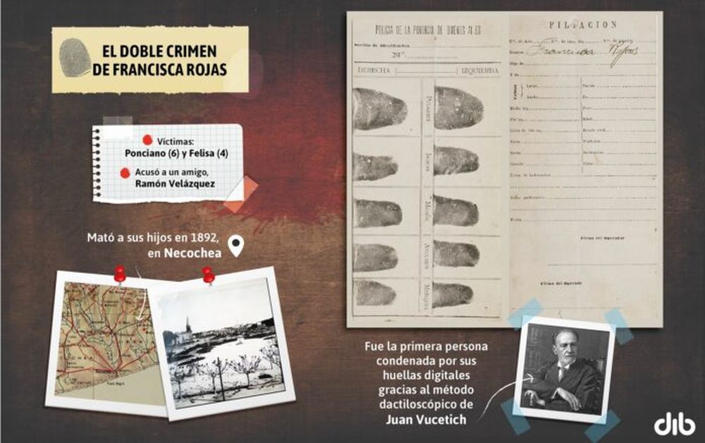 Infografía: DIB