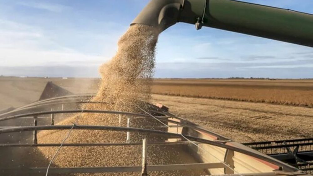 La exportación de granos.