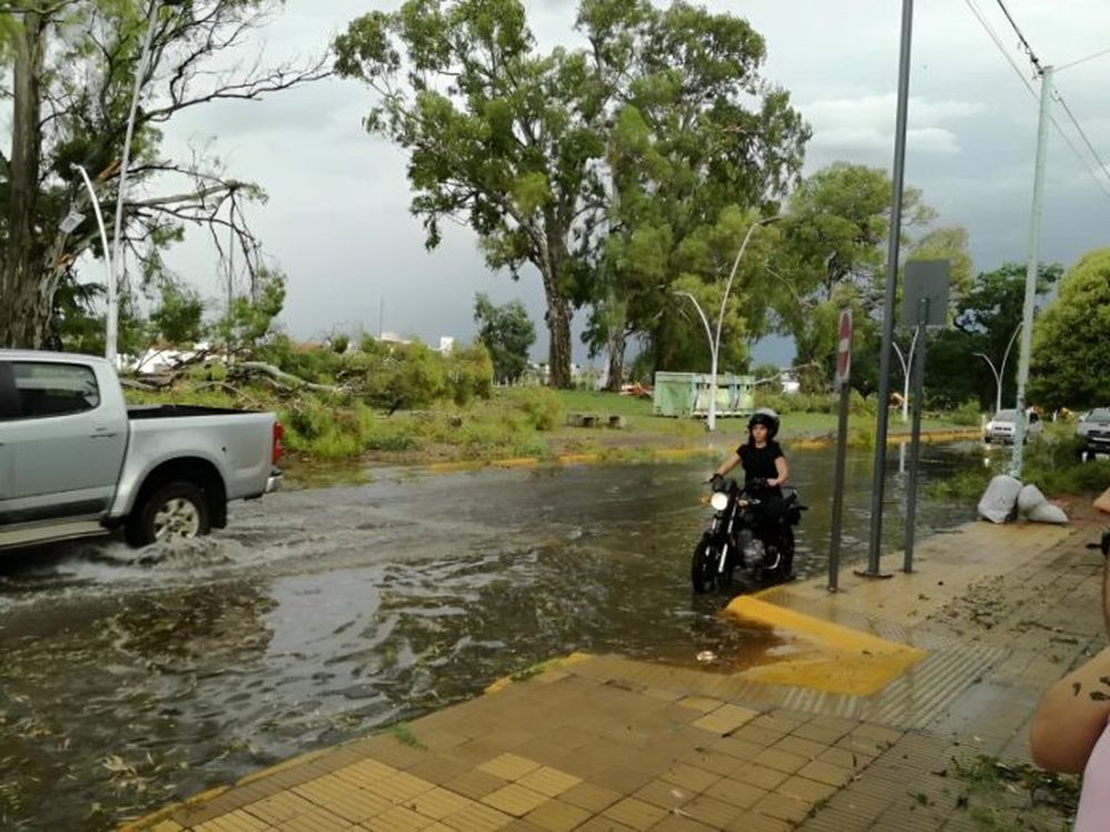 Calles anegadas, techos volados y árboles caídos fueron algunas de las consecuencias del temporal del martes. (El Popular)