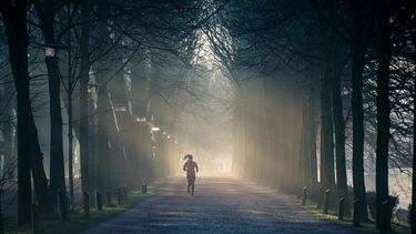 el ejercicio físico aporta múltiples beneficios para la salud cardiovascular.&nbsp;