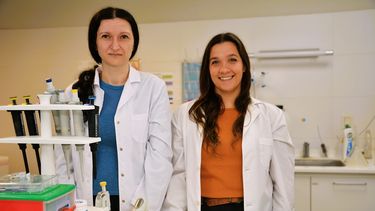 Las investigadoras del&nbsp;Laboratorio de Microambiente Tumoral (CIBA-CITNOBA) Ina Sevic y Daiana Vitale.&nbsp;