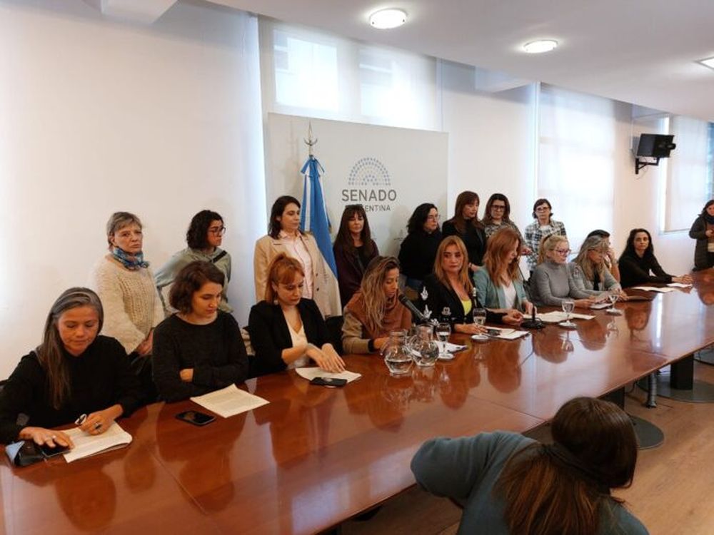 La presentación de “Cultura del Acoso: Punto y Aparte” en el Senado. (X Periodistas Argentinas)