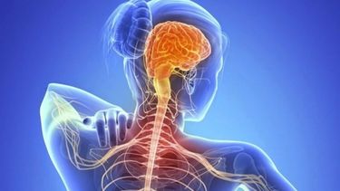 Tras tres décadas de investigación, científicos canadienses lograron un avance histórico en la lucha contra la esclerosis lateral amiotrófica (ELA).