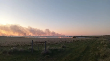 El alerta de incendios es para doce municipios del sudoeste. El alerta de incendios es para doce municipios del sudoeste.