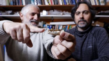 Los investigadores Javier Gelfo y Guillermo López, ambos de la Facultad de Ciencias Naturales y Museo de la UNLP, clasificaron dos nuevos mamíferos fósiles.&nbsp;