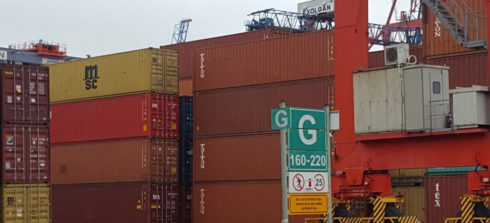 Chile habilitó la importación de vísceras desde Argentina, confirmó el Senasa.