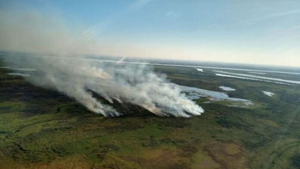 Peligro de incendios en las islas del Delta.