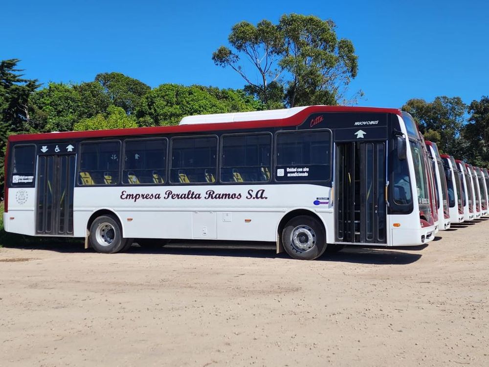 El Ministerio de Transporte redefinió la distribución del régimen transitorio de subsidios destinado a las empresas de transporte automotor.