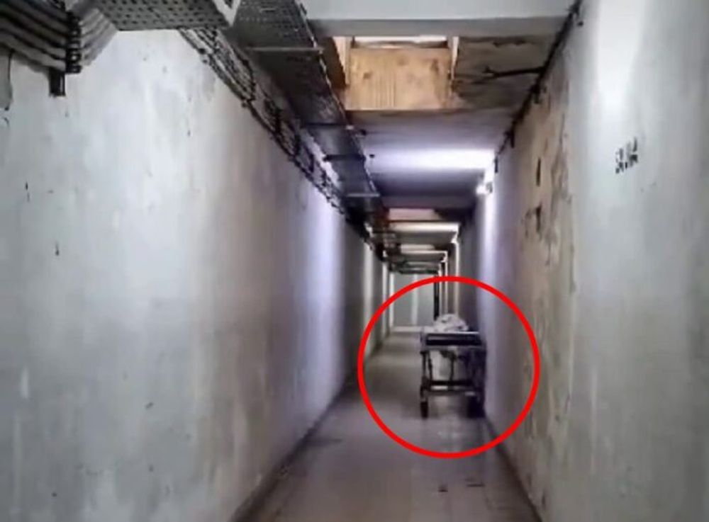 La camilla que parece deslizarse en el estrecho pasillo del hospital. (Captura de video)