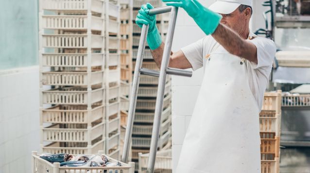 Un trabajador de la industria del pescado.&nbsp;