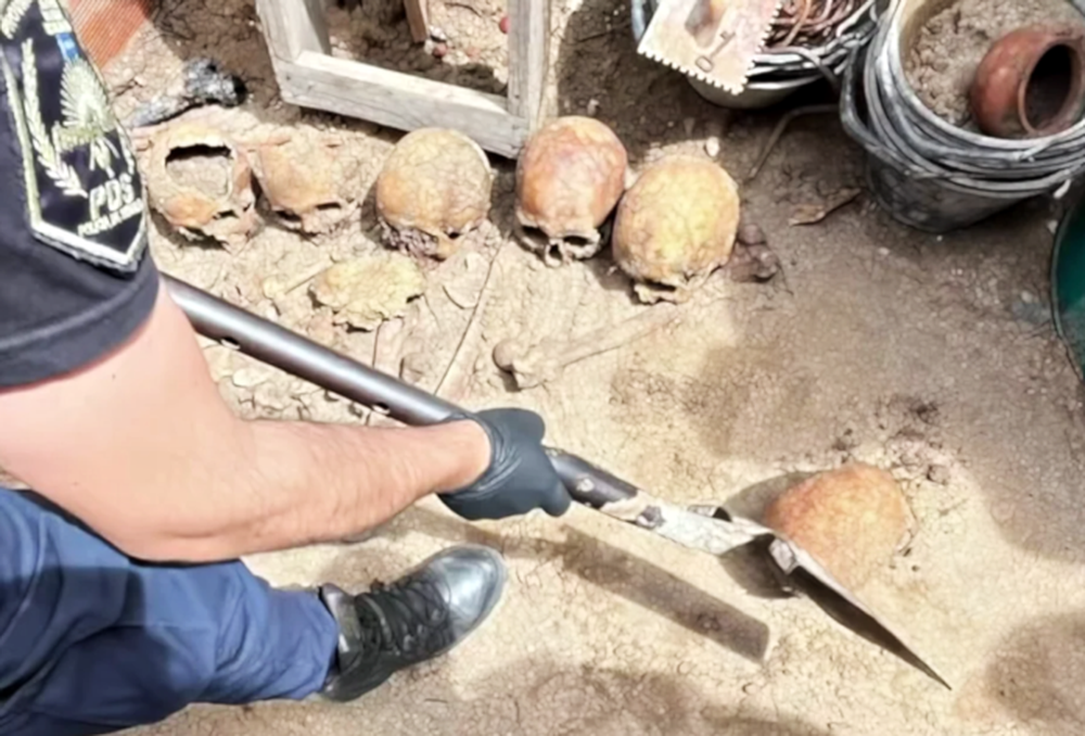 El sorprendente hallazgo en una casa de Ostende.