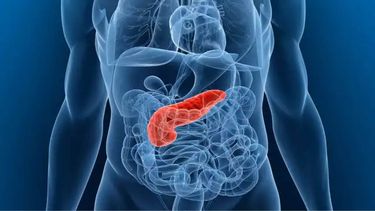 Científicos españoles dan un gran paso para el tratamiento del cáncer de páncreas.