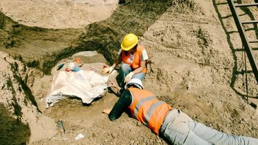 Fue encontrado en el Parque Industrial de Mar del Plata. (La Capital de Mar del Plata)