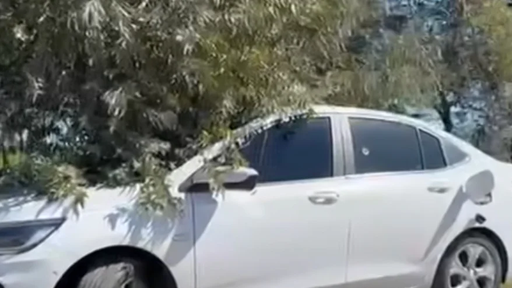 La pareja fue hallada muerta a balazos dentro de un auto en la ruta nacional 8 a la altura de San Antonio de Areco.