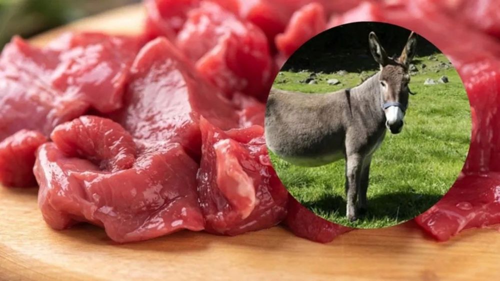 La carne de burro, una alternativa en discusión.&nbsp;