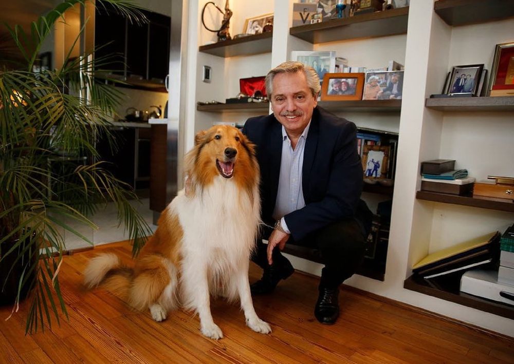 Alberto Fernández junto a su perro Dylan, a quien despidió hoy en redes sociales.