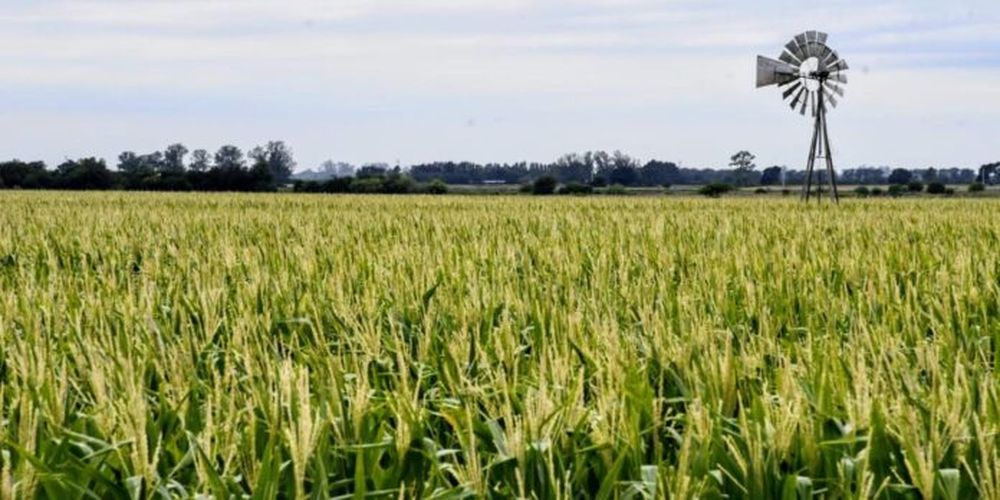 Un molino en un campo.