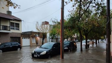 Diarios Bonaerenses | En Bahía Blanca la tempestad dejó al menos diez muertos. (La Brújula 24)