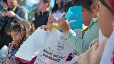 El programa “Salud Escolar” de la provincia de Buenos Aires. 