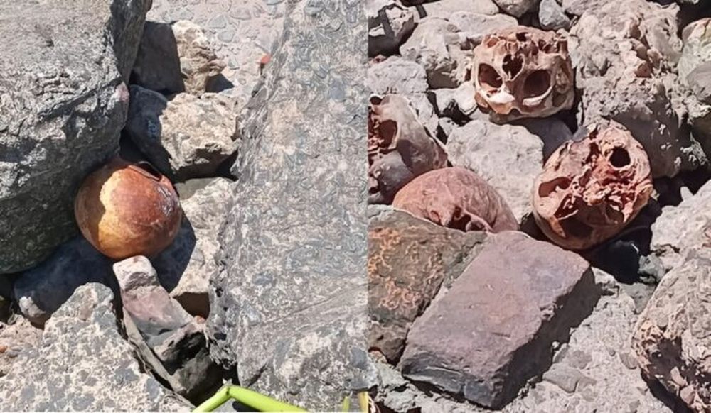 Cráneos encontrados en la ribera de Quilmes. (El Diario Sur)