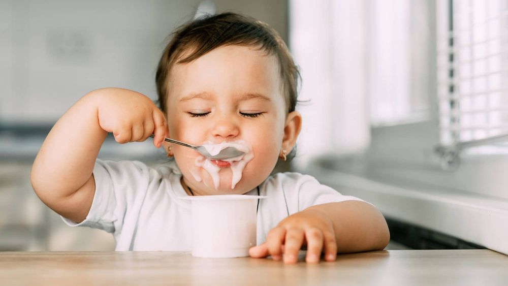 Qué dice un estudio sobre consumo de yogur en chicos pequeños.