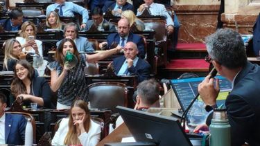 Diarios Bonaerenses | Marcela Pagano con un megáfono en la Cámara de Diputados. (X @ddeurieta)