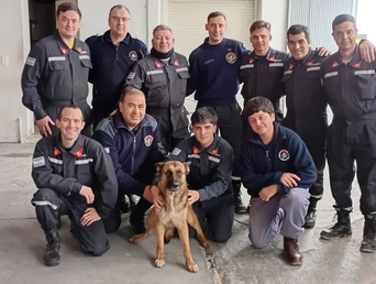 Los Bomberos Voluntarios de Tres Arroyos junto a Lagherta, la perrita rescatada.&nbsp; &nbsp;