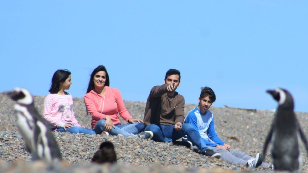 El avistaje de pingüinos en Puerto Madryn.&nbsp;