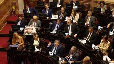 El senado durante el debate por las universidades y la pediatría.&nbsp;