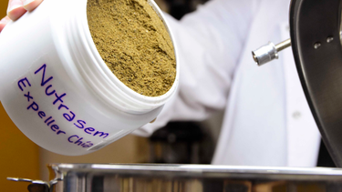 Expeller de chía, u subproducto industrial que enriquece panificados y preparaciones. (UNLP)