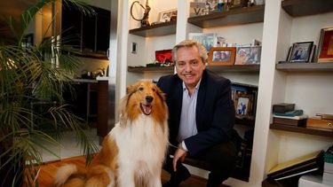Alberto Fernández junto a su perro Dylan, a quien despidió hoy en redes sociales.