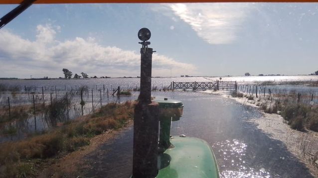 Las inundaciones afectan a miles de hectáreas en la provincia. (Foto: Patricia Gorza)