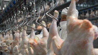 Un kilo de cuadril en oferta cuesta diez mil pesos, el equivalente a 5 kilos de pollo.