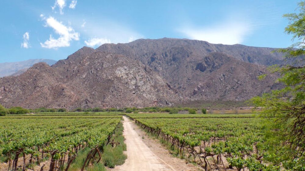 Tierras rurales en el país.