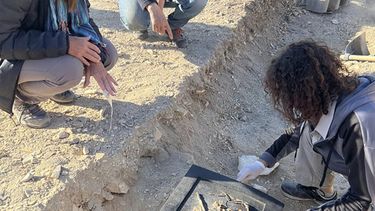 El equipo interdisciplinario incluye historiadoras e historiadores, arqueólogas, conservadoras, historiadores del arte, arquitectos, fotógrafos y un físico. - UNLP -